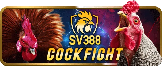 Quả bóng đá trên sân cỏ xanh, biểu tượng cá cược bóng đá tại typhu88 casino
